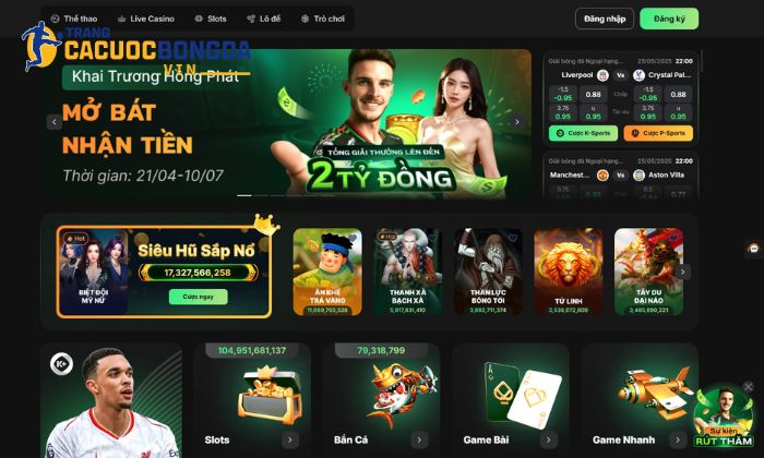 Giới thiệu tổng quan về 86Bet