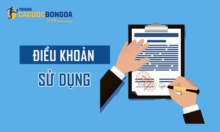 Điều khoản sử dụng nhà cái và những thông tin cần biết