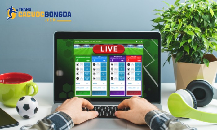 Nhà cái uy tín hỗ trợ nhanh, tận tâm Nhà cái uy tín hỗ trợ nhanh, tận tâm