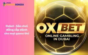 Oxbet - Sân chơi đẳng cấp dành cho mọi cược thủ