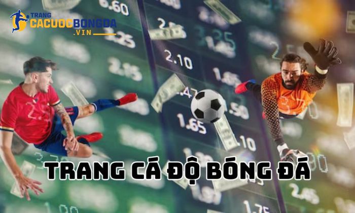 Thông tin về Trang cá cược bóng đá