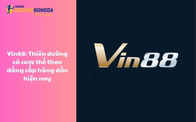 Vin88: Thiên đường cá cược thể thao đẳng cấp hàng đầu hiện nay